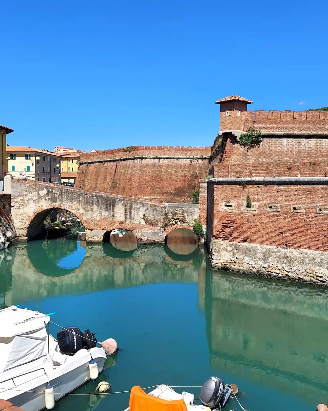 Venezia Nuova, Livorno