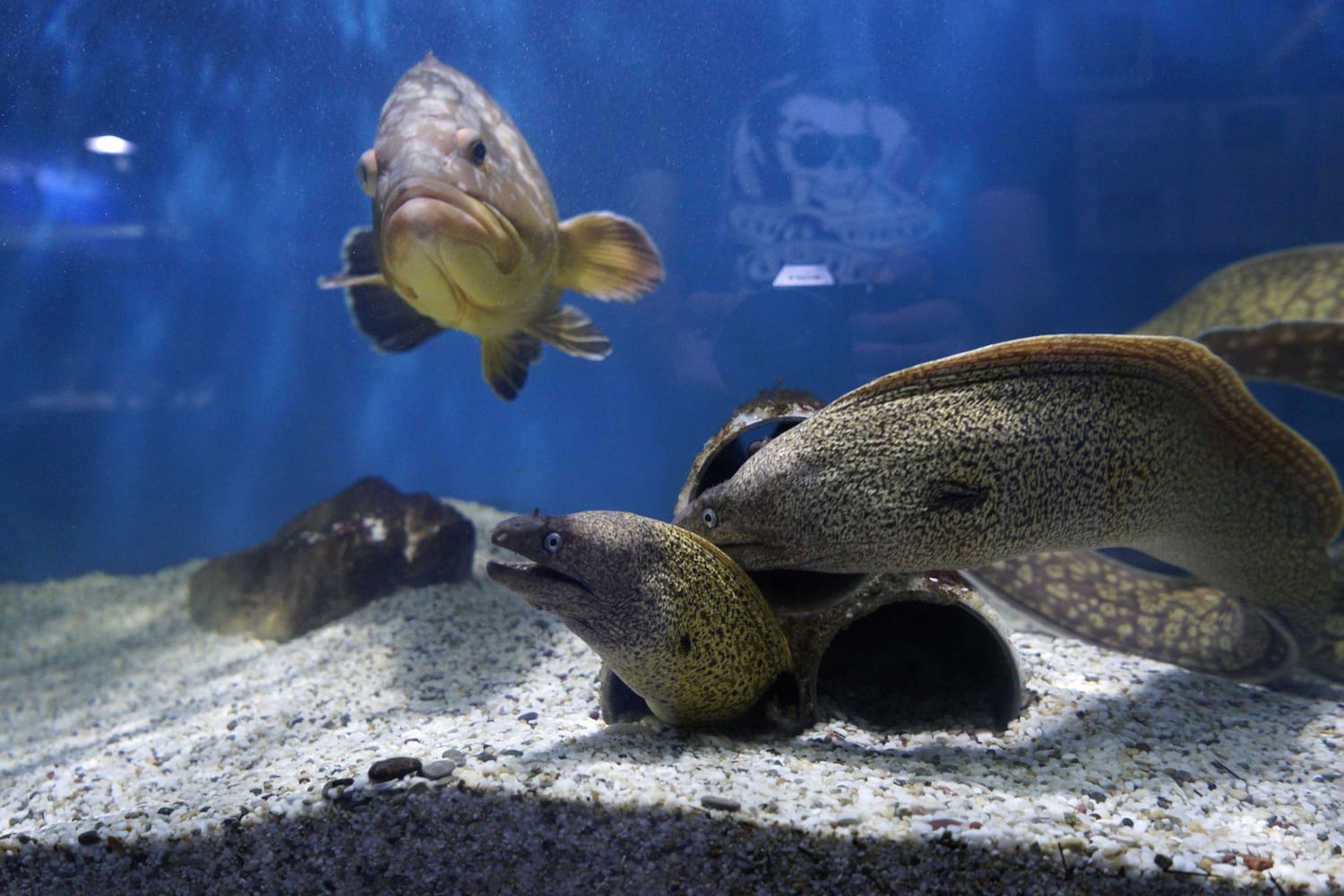 Aquaworld Aquarium