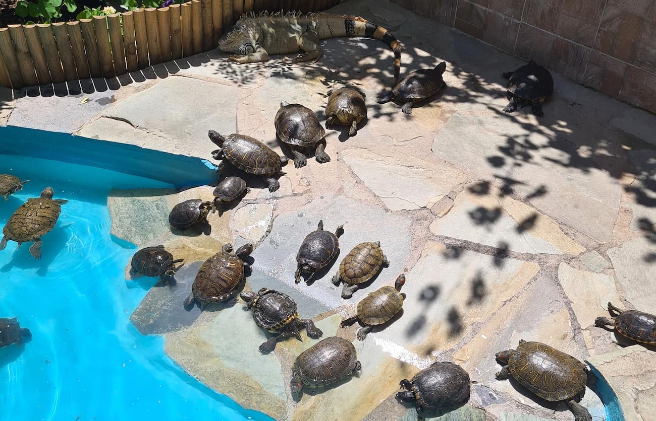 Aquaworld Aquarium