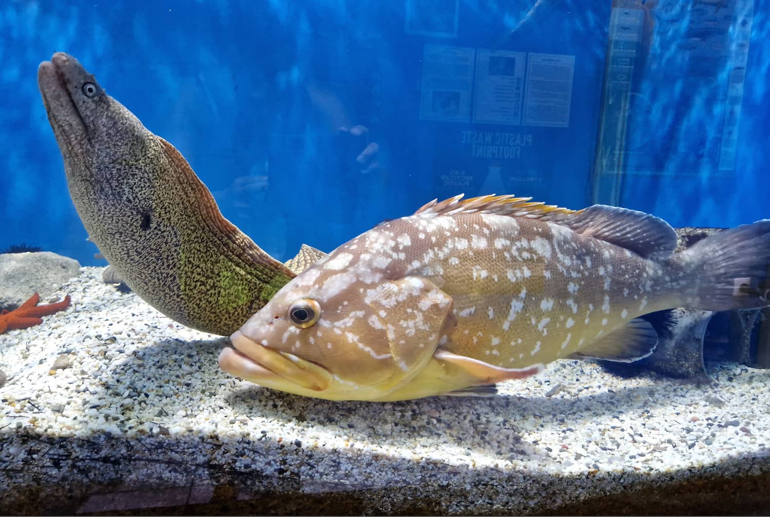 Aquaworld Aquarium