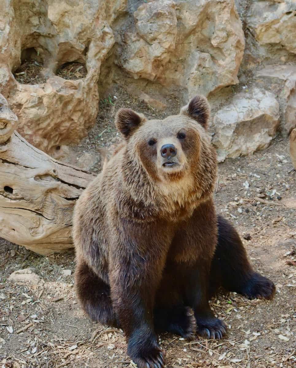 Zoosafari in Fasano