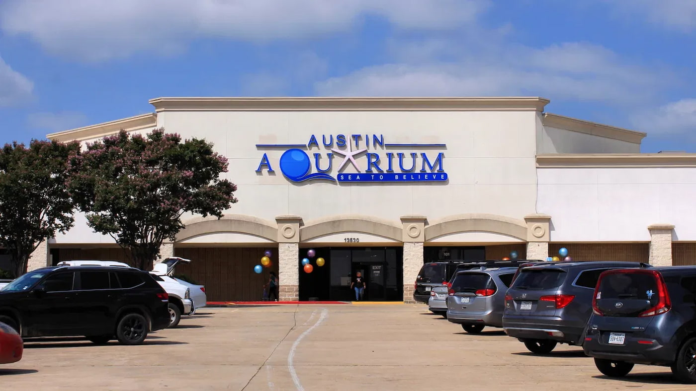 Austin Aquarium Austin Aquarium
