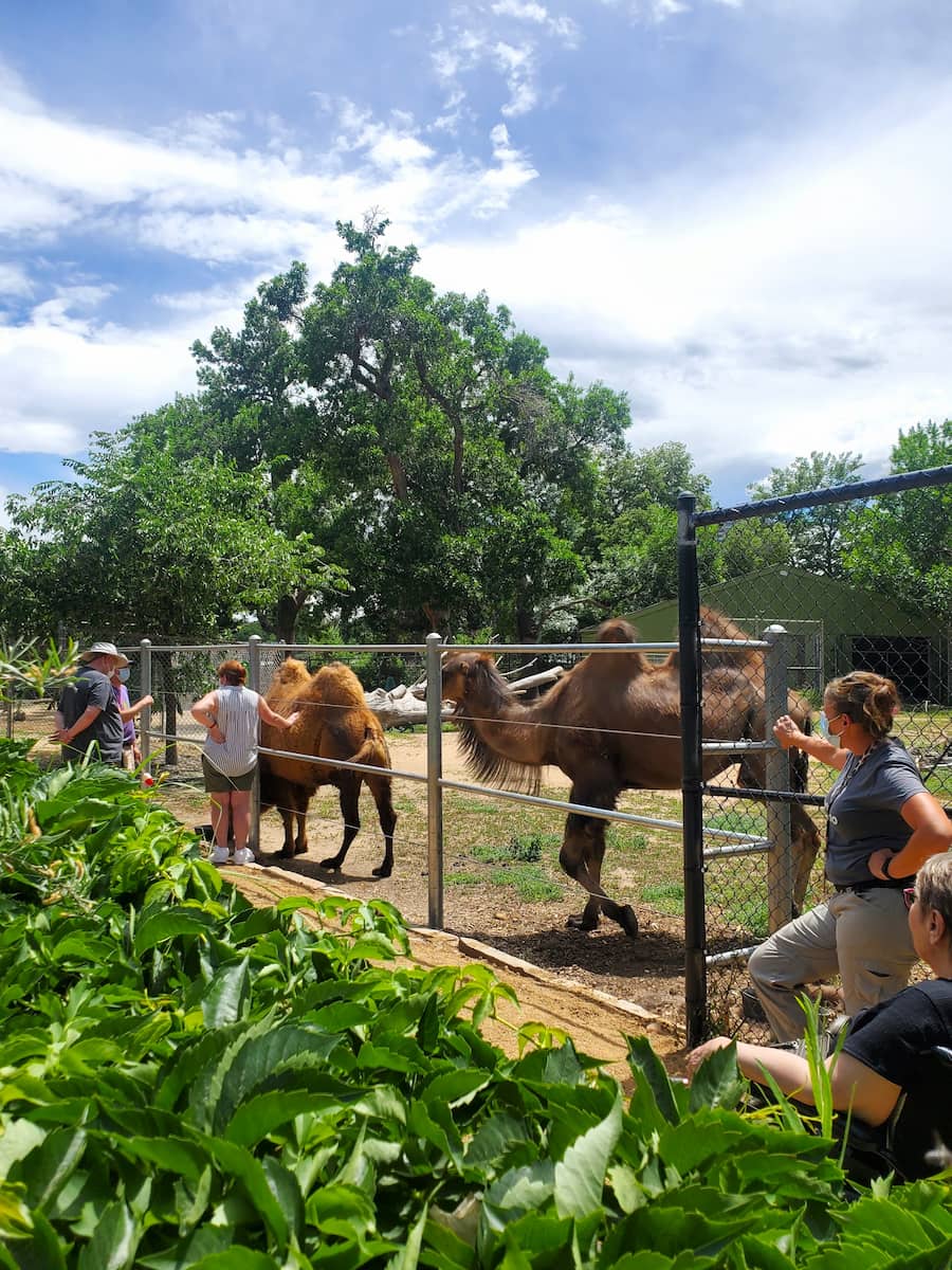 Denver Zoo