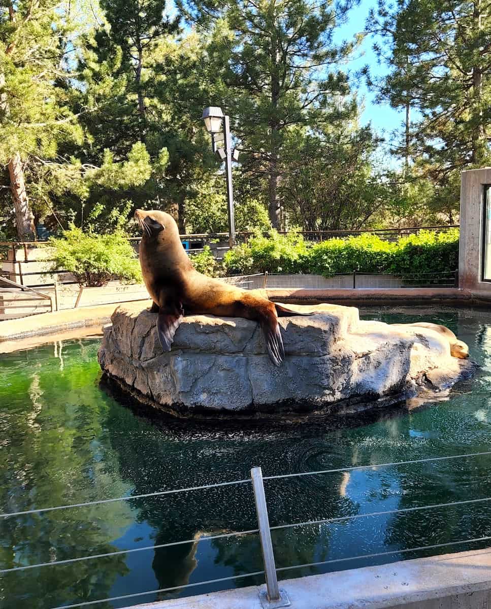 Denver Zoo