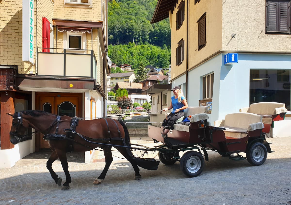 Horse-Drawn Carriage Rides, Engelberg Horse-Drawn Carriage Rides, Engelberg