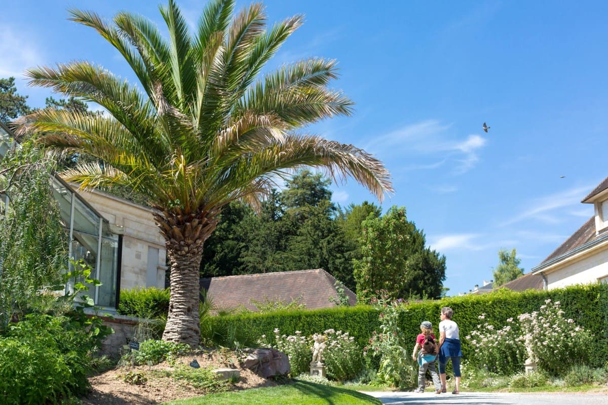 Jardin des Plantes, Caen Jardin des Plantes, Caen