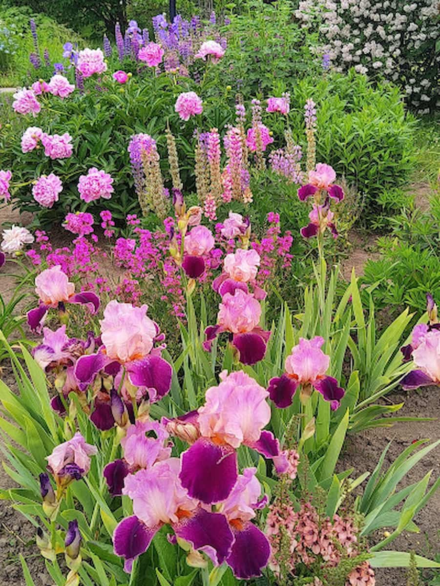 Ornamental Gardens, Colorado