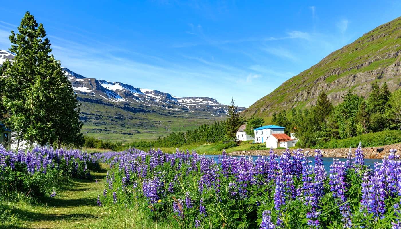 Spring in Höfn Spring in Höfn