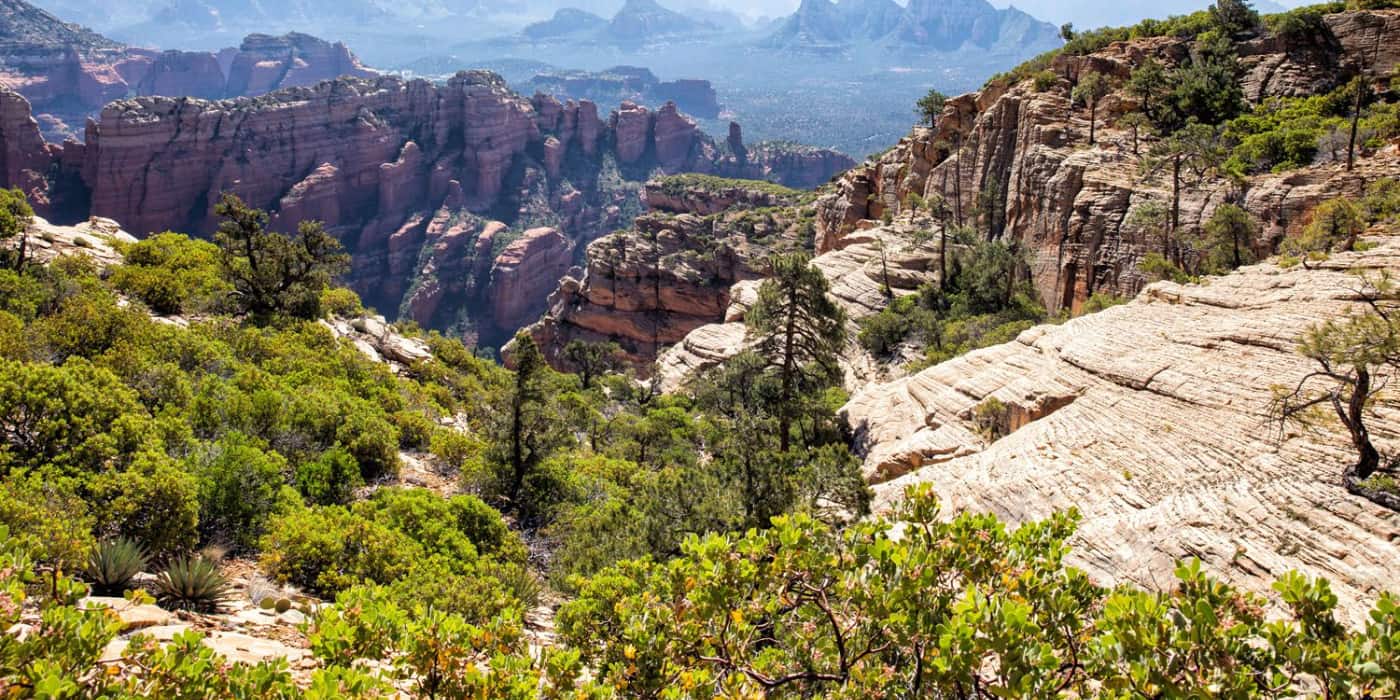 Spring in Sedona