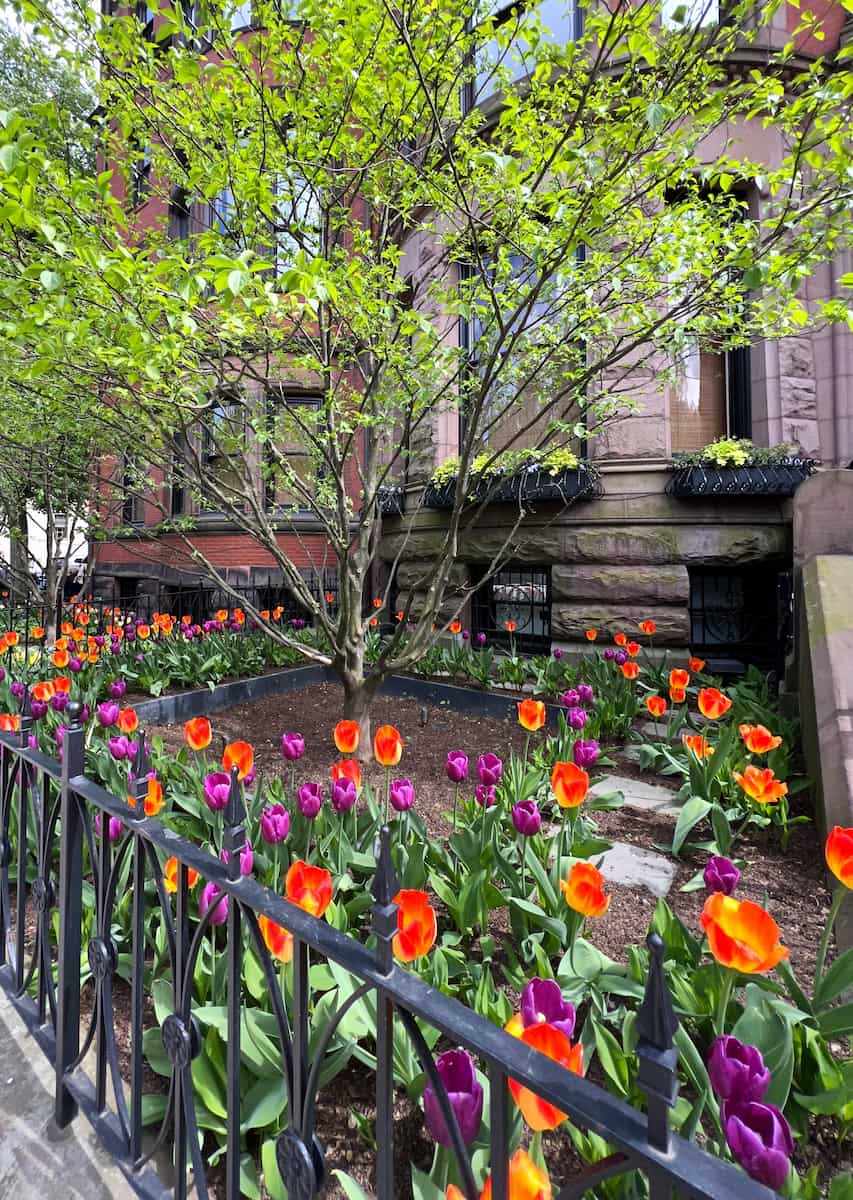 Spring in Boston