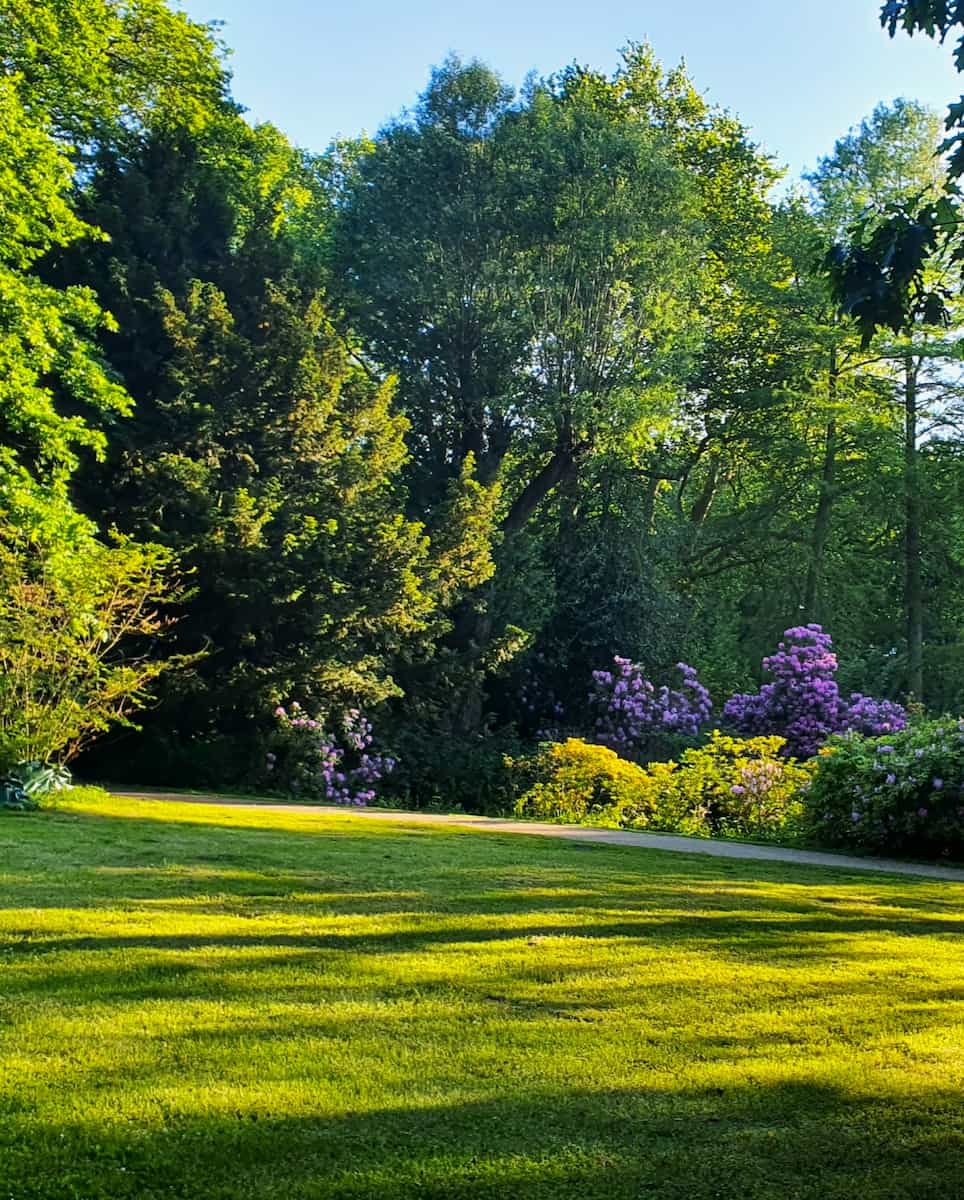 Stadtpark, Lübeck