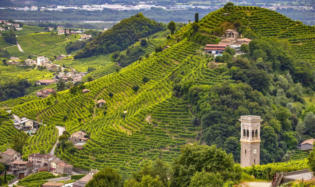 Terrain, Treviso
