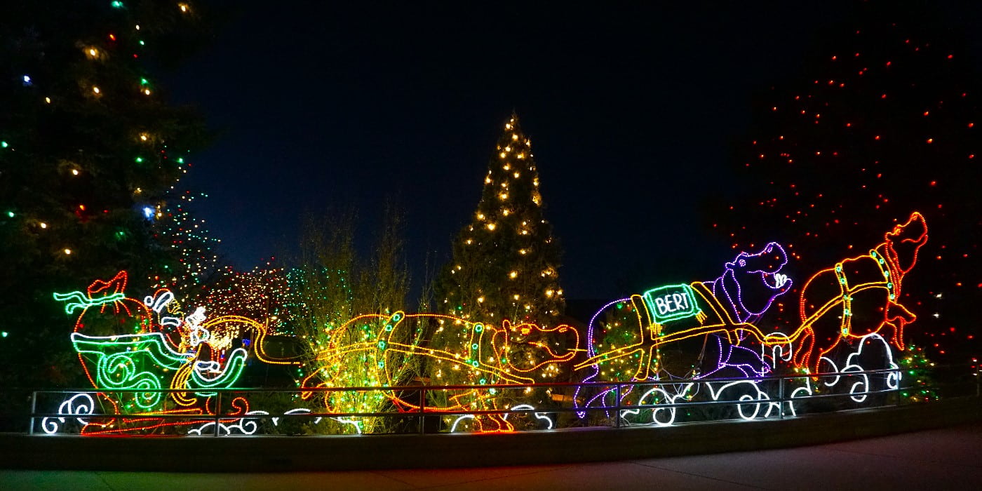 ZooLights, Washington DC ZooLights, Washington DC