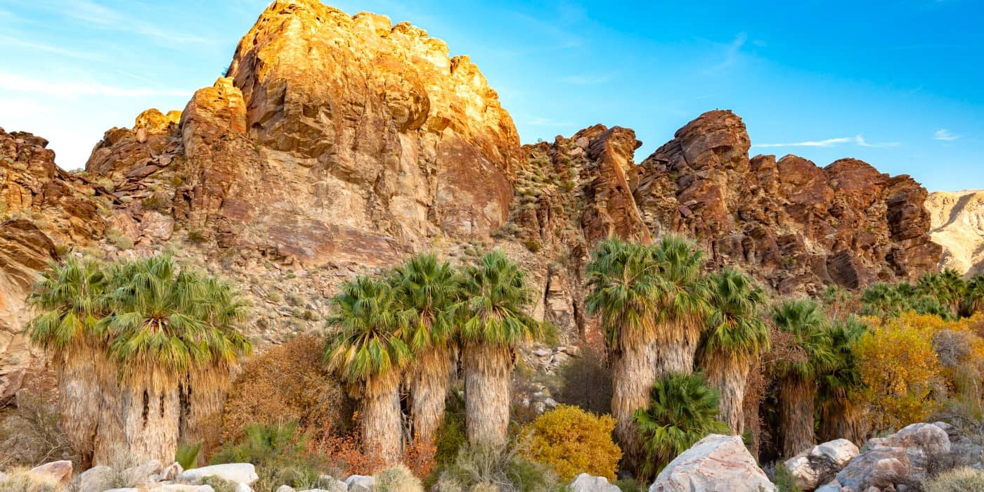 Andreas Canyon, Palm Springs Andreas Canyon, Palm Springs