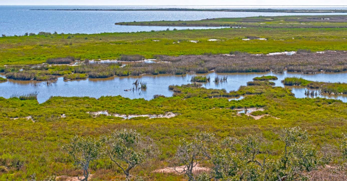 Aransas National Wildlife Refuge, TX Aransas National Wildlife Refuge, TX