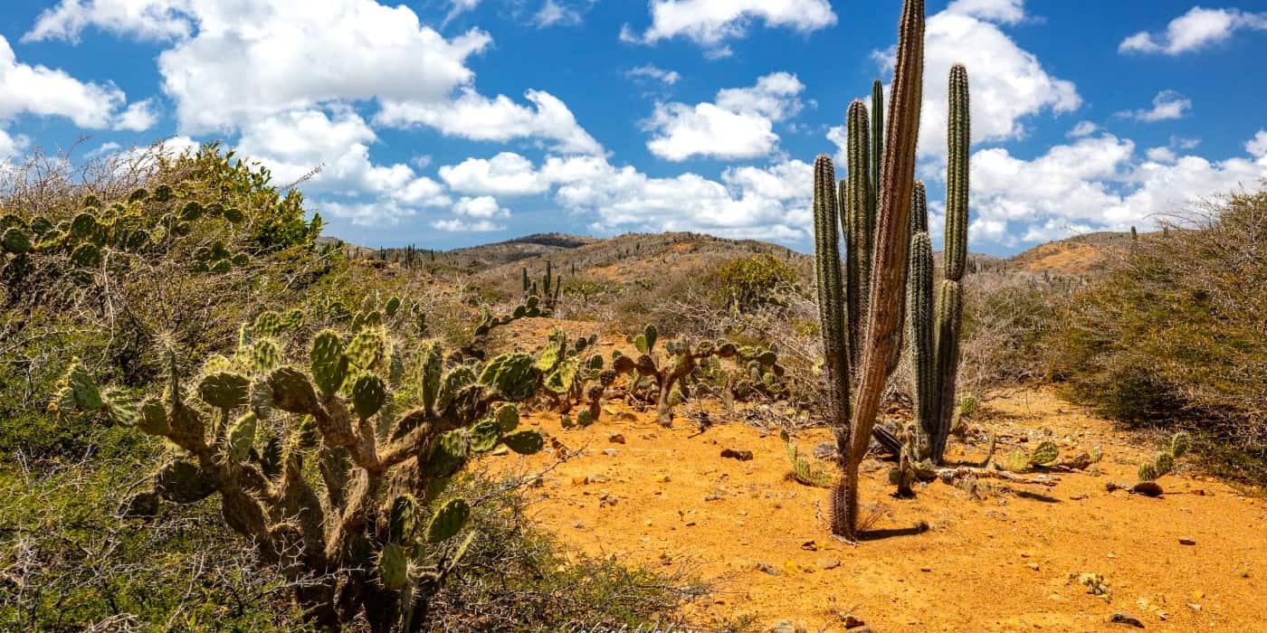 Arikok Desert, Aruba Arikok Desert Aruba