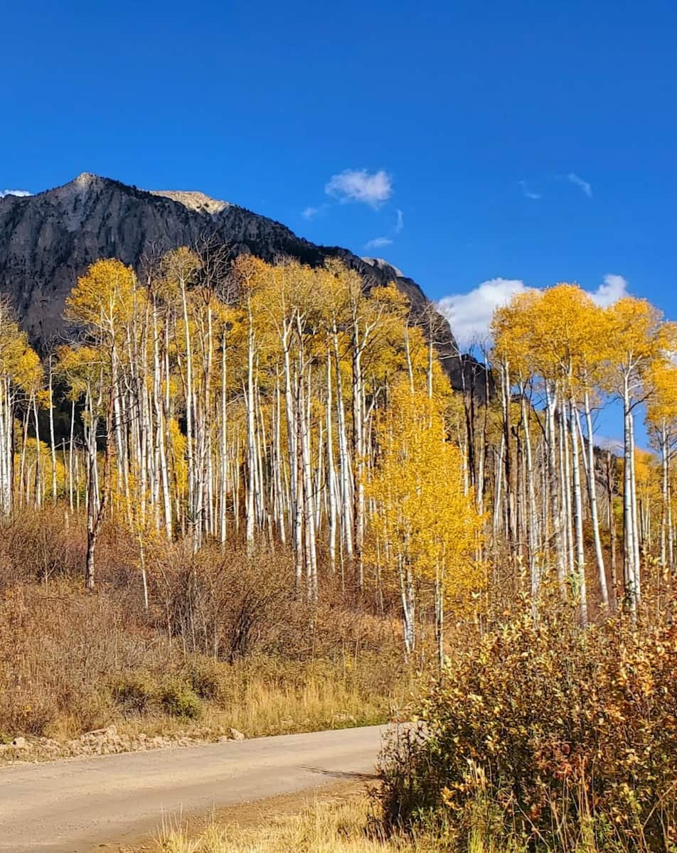 Autumn in Colorado