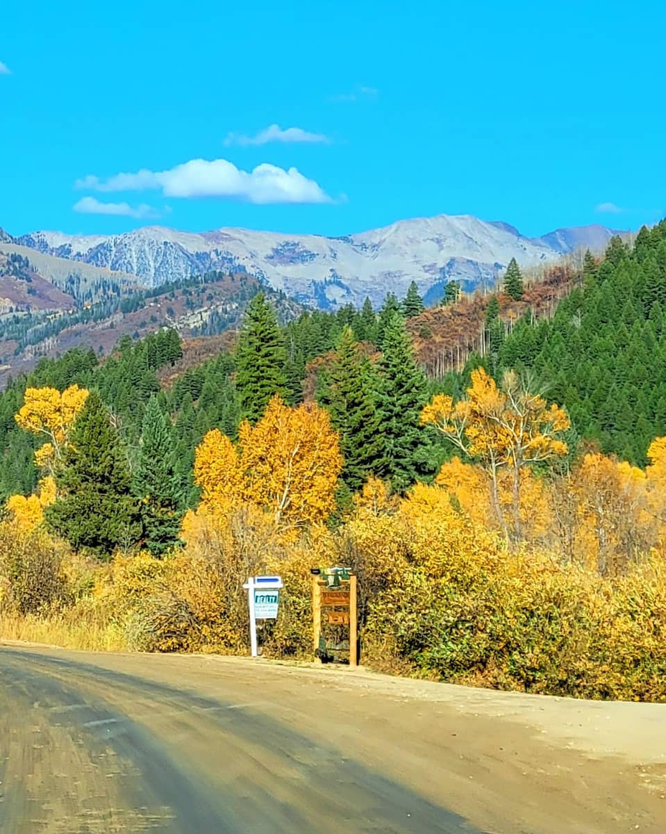 Autumn in Colorado