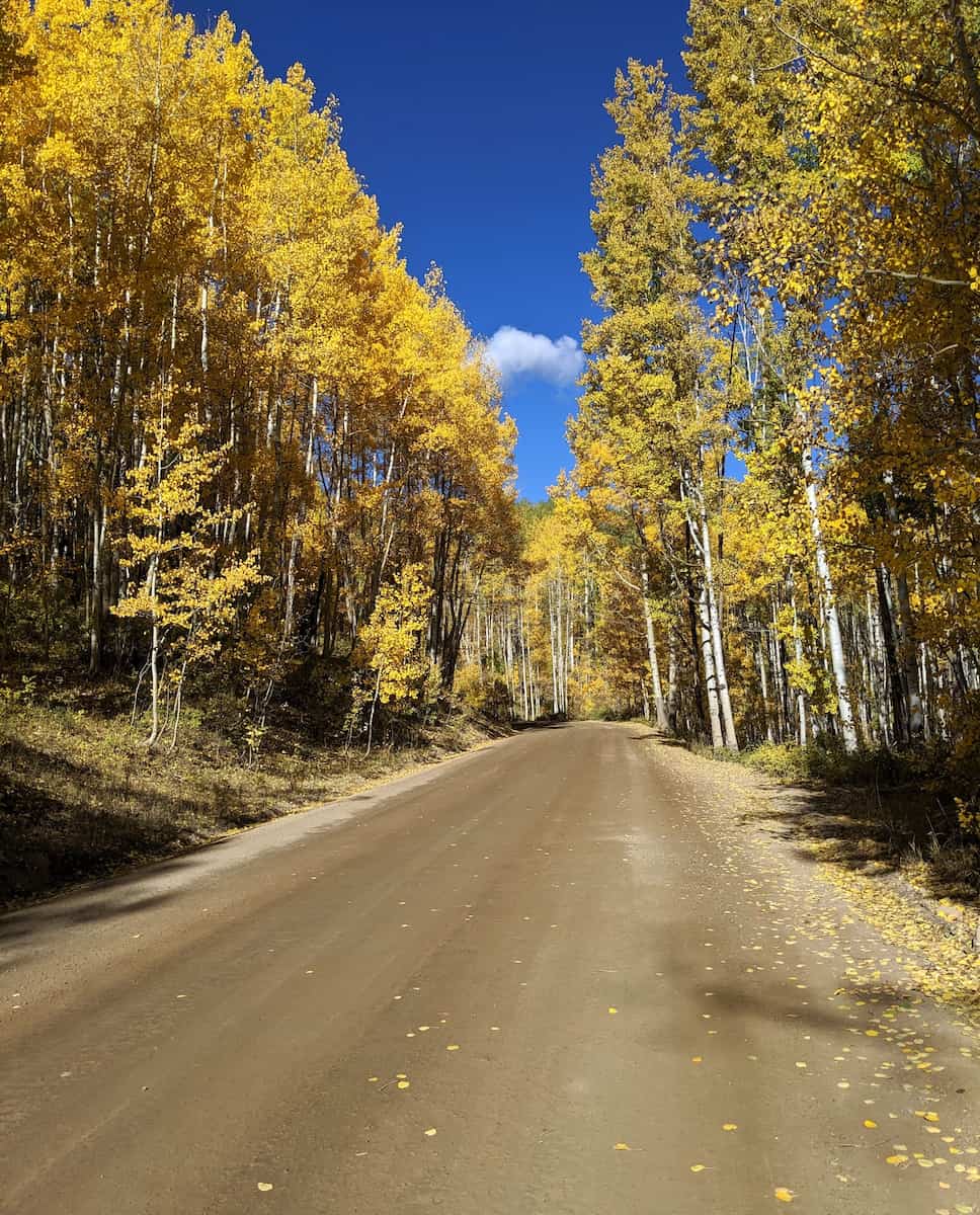 Autumn in Colorado