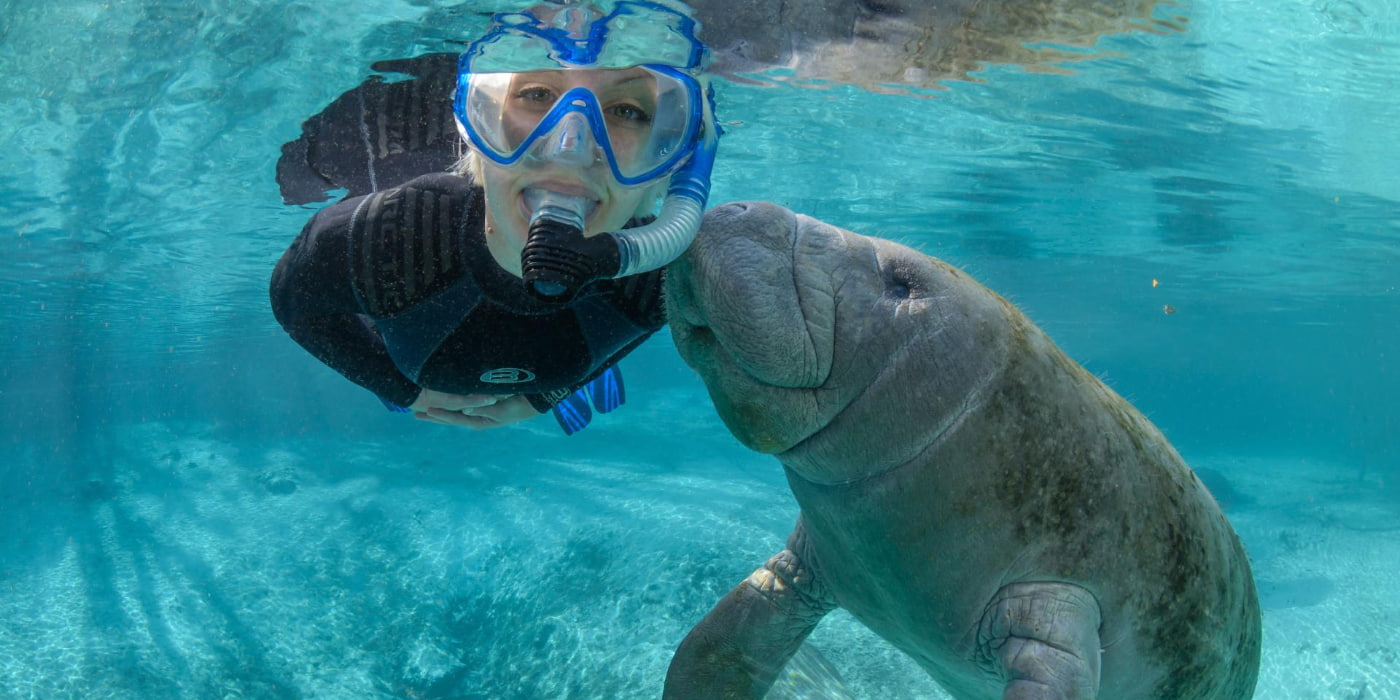 Crystal River Manatee Swim, Florida Crystal River Manatee Swim, Florida