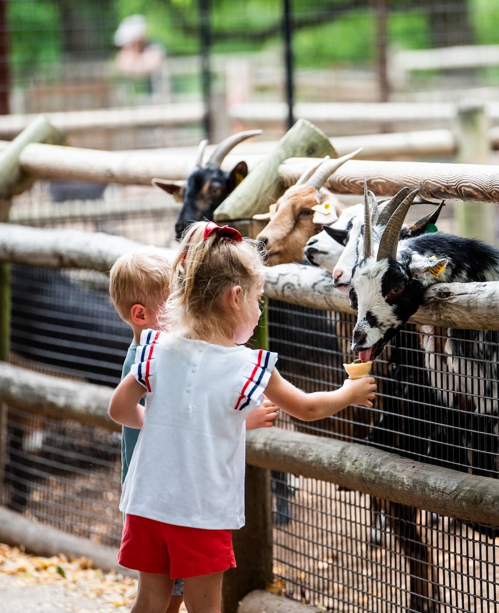 Grant’s Farm, St. Louis
