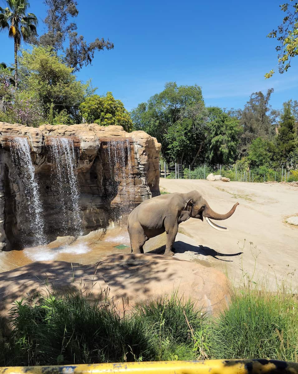 Los Angeles Zoo