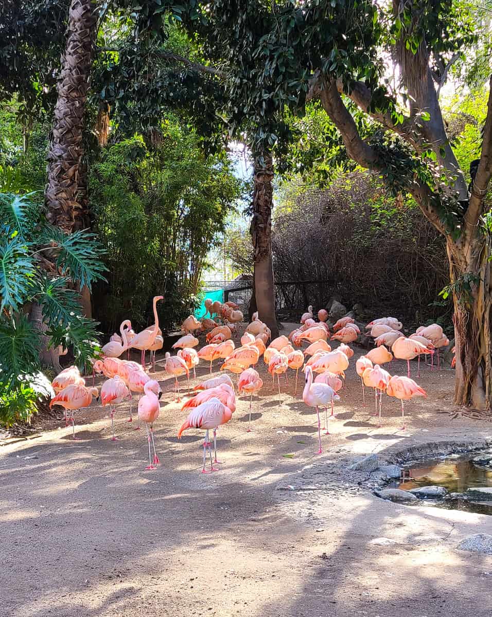 Los Angeles Zoo