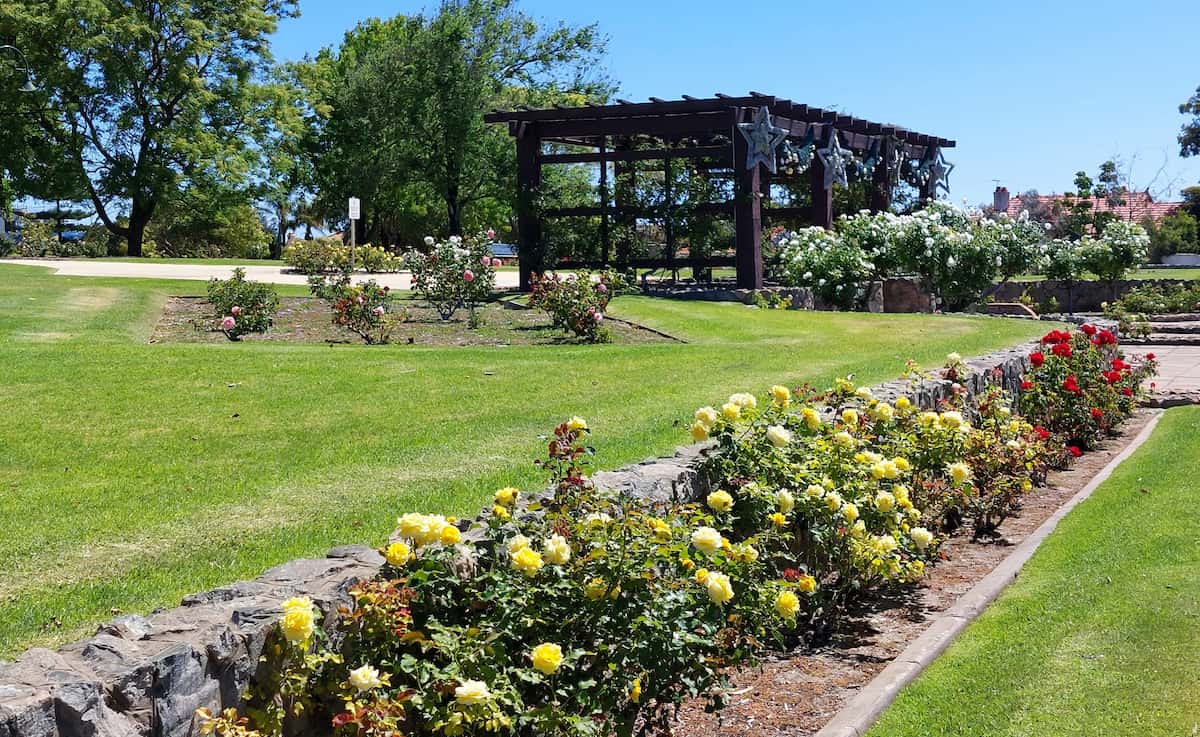 McKinley Rose Garden Sacramento