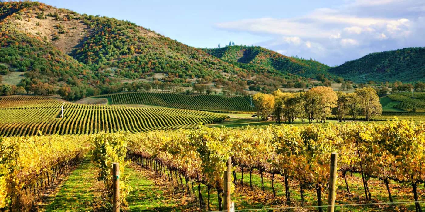 Napa Valley, California Napa Valley, California