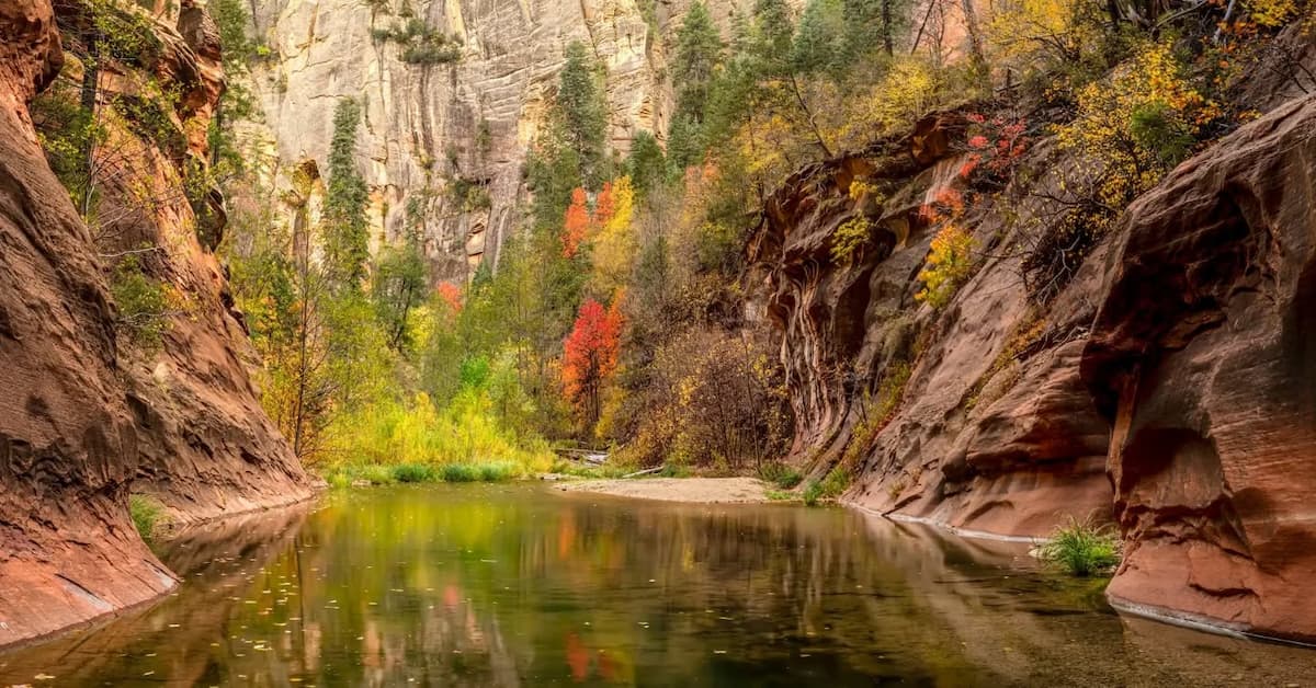 Oak Creek Canyon, Arizona Oak Creek Canyon, Arizona