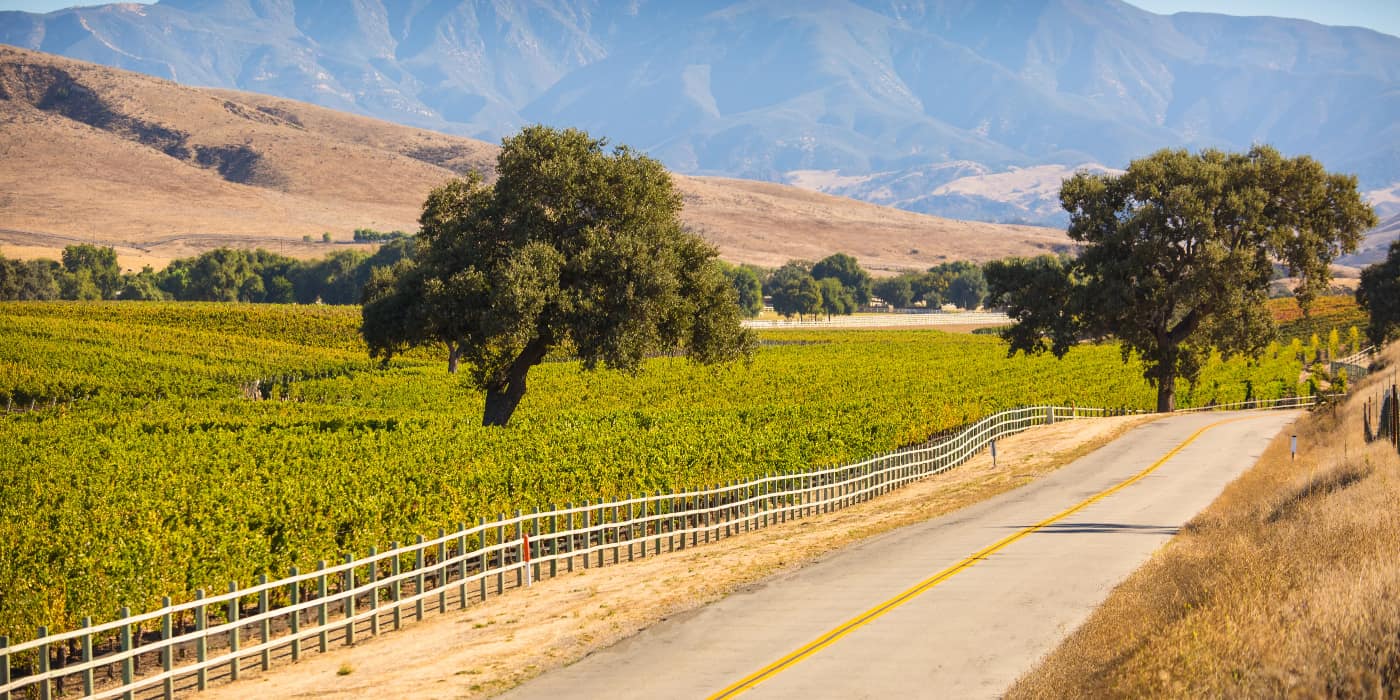 Santa Ynez Wine Country, Santa Barbara Santa Ynez Wine Country, Santa Barbara