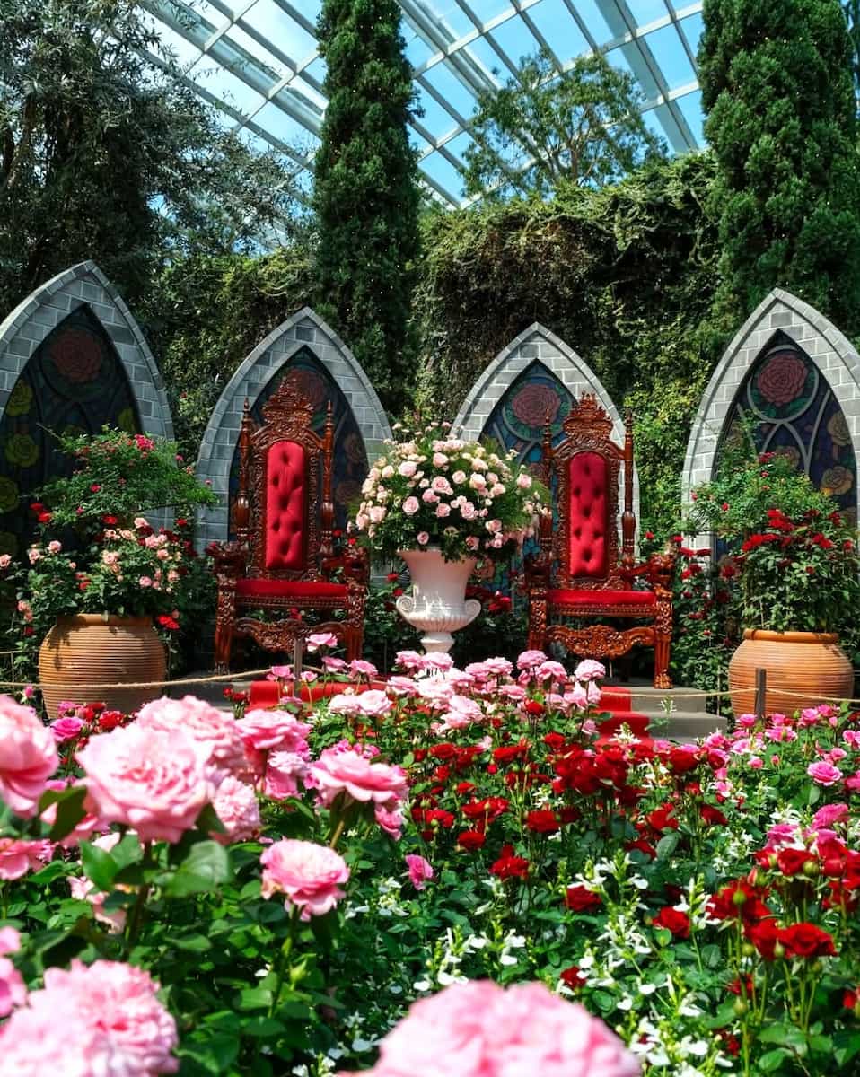 Spring in Singapore