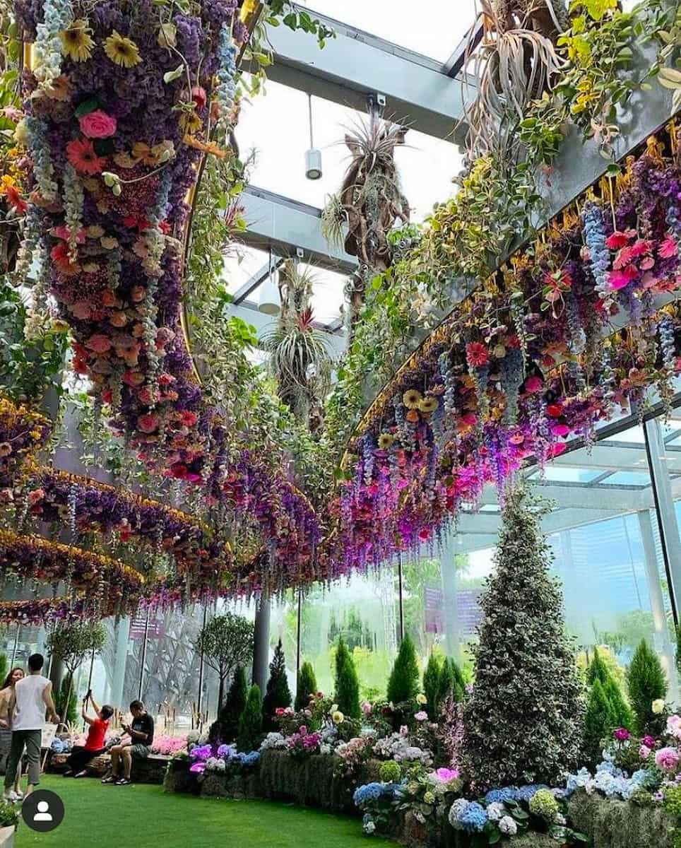 Spring in Singapore