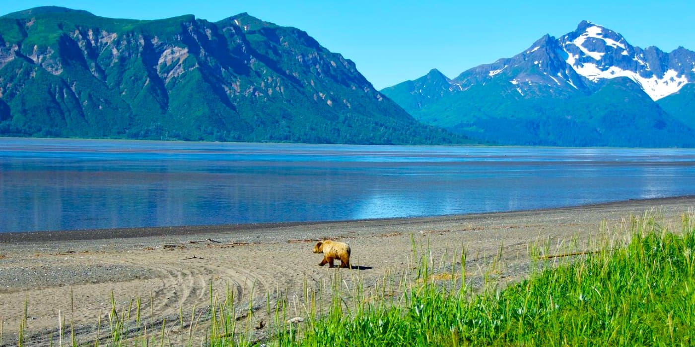 Chinitna bay, Anchorage Chinitna bay, Anchorage