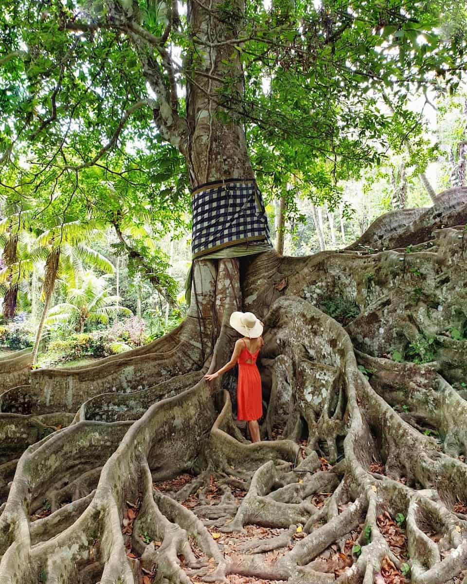 Goa Gajah, Bali