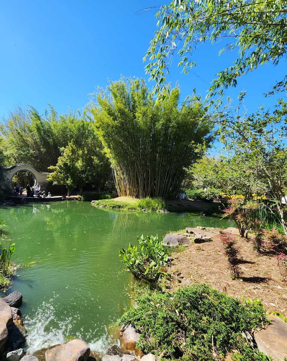 Jacksonville Zoo and Gardens