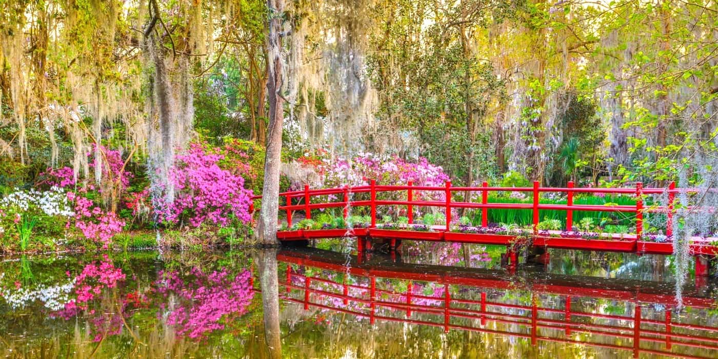 Magnolia Plantation, Charleston Magnolia Plantation, Charleston