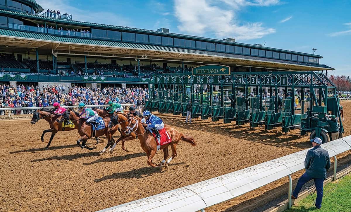 Spring Meet, Lexington Spring Meet, Lexington