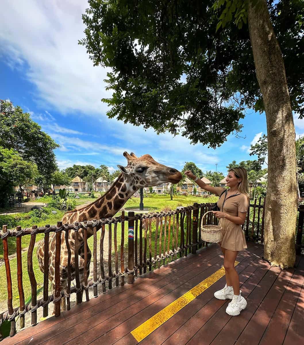 The Amazing Taman Safari Bali