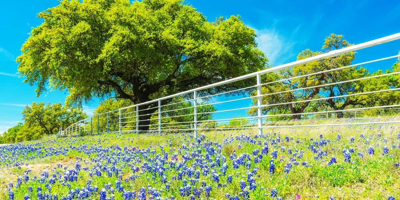 The Willow City Loop, Fredericksburg, TX The Willow City Loop, Fredericksburg, TX