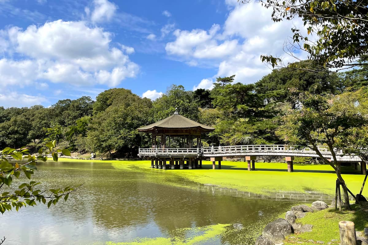 Nara Park, Japan