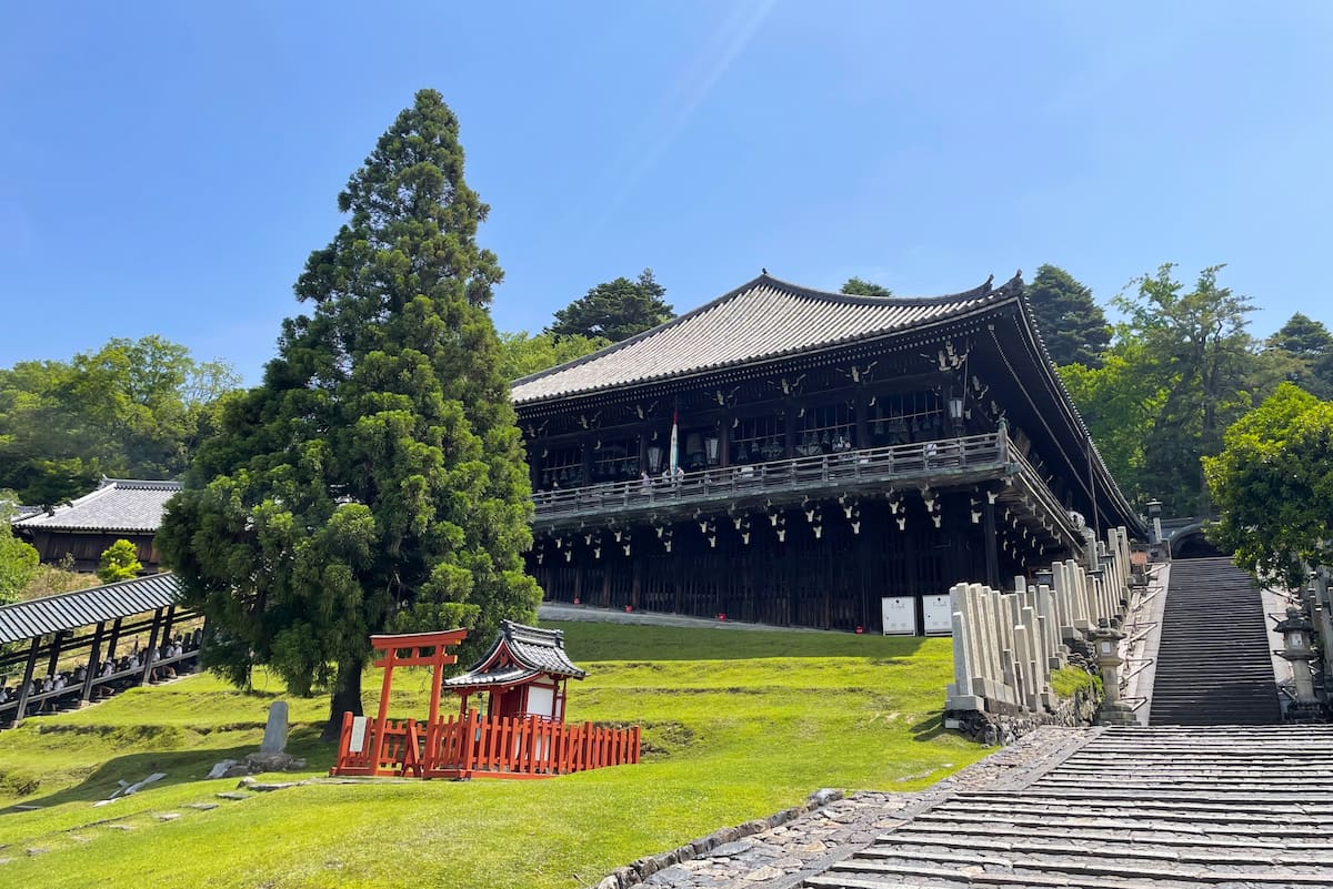 Nara Park, Japan