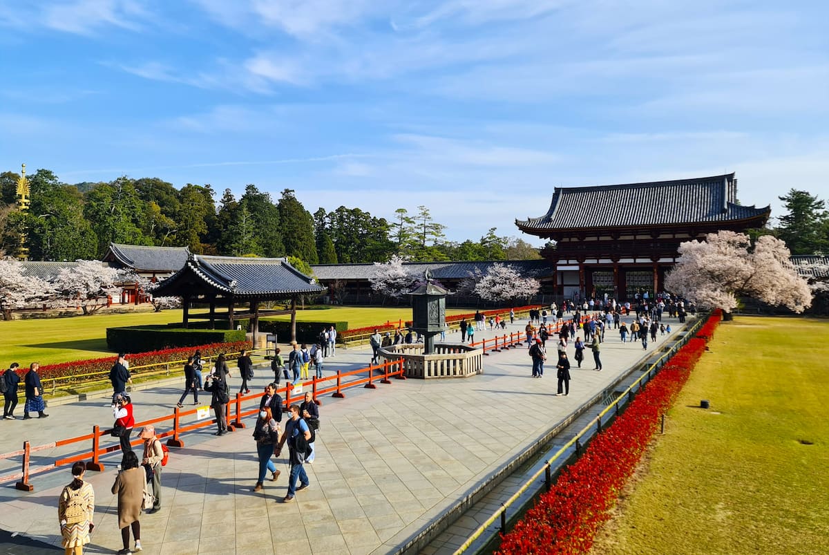 Nara Park, Japan