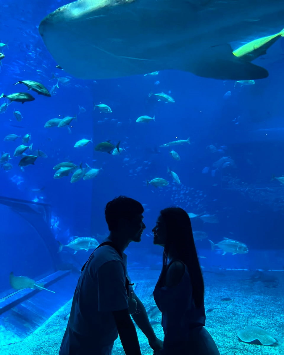 Okinawa Churaumi Aquarium, Japan Okinawa Churaumi Aquarium, Japan