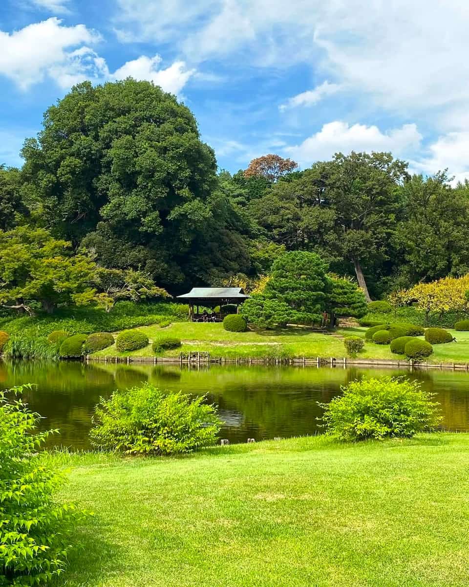 Shinjuku Gyoen National Garden, Japan Shinjuku Gyoen National Garden, Japan